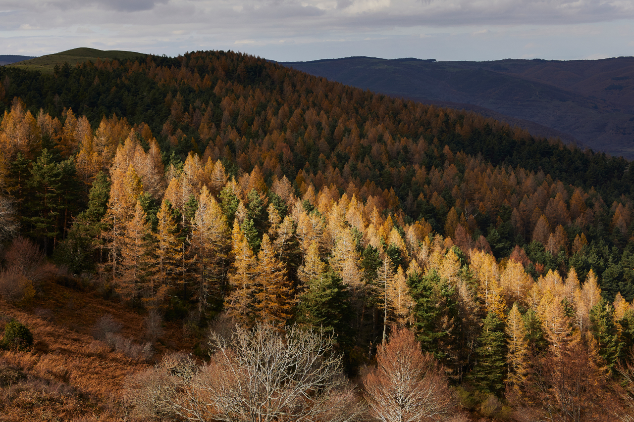 La Rioja y los colores de su naturaleza