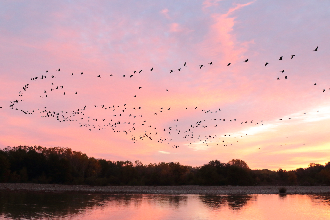 La Rioja y su naturaleza